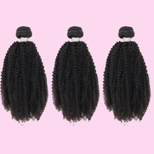 Load image into Gallery viewer, Brazilian Afro Kinky Bundle Deals