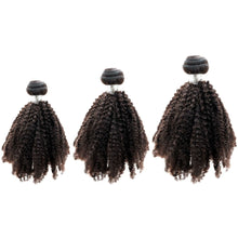 Load image into Gallery viewer, Brazilian Afro Kinky Bundle Deals