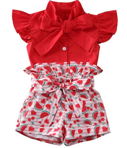 Toddler Girl's 2 Piece Crop Top and Shorts