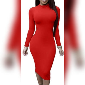 Turtle Neck Sweater Midi Bodycon Dress